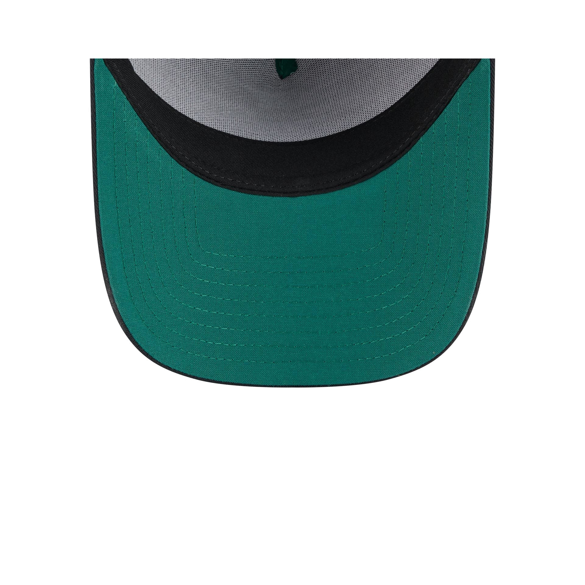 New Era Cap Earth Day Black 9FORTY A-Frame Snapback Hat