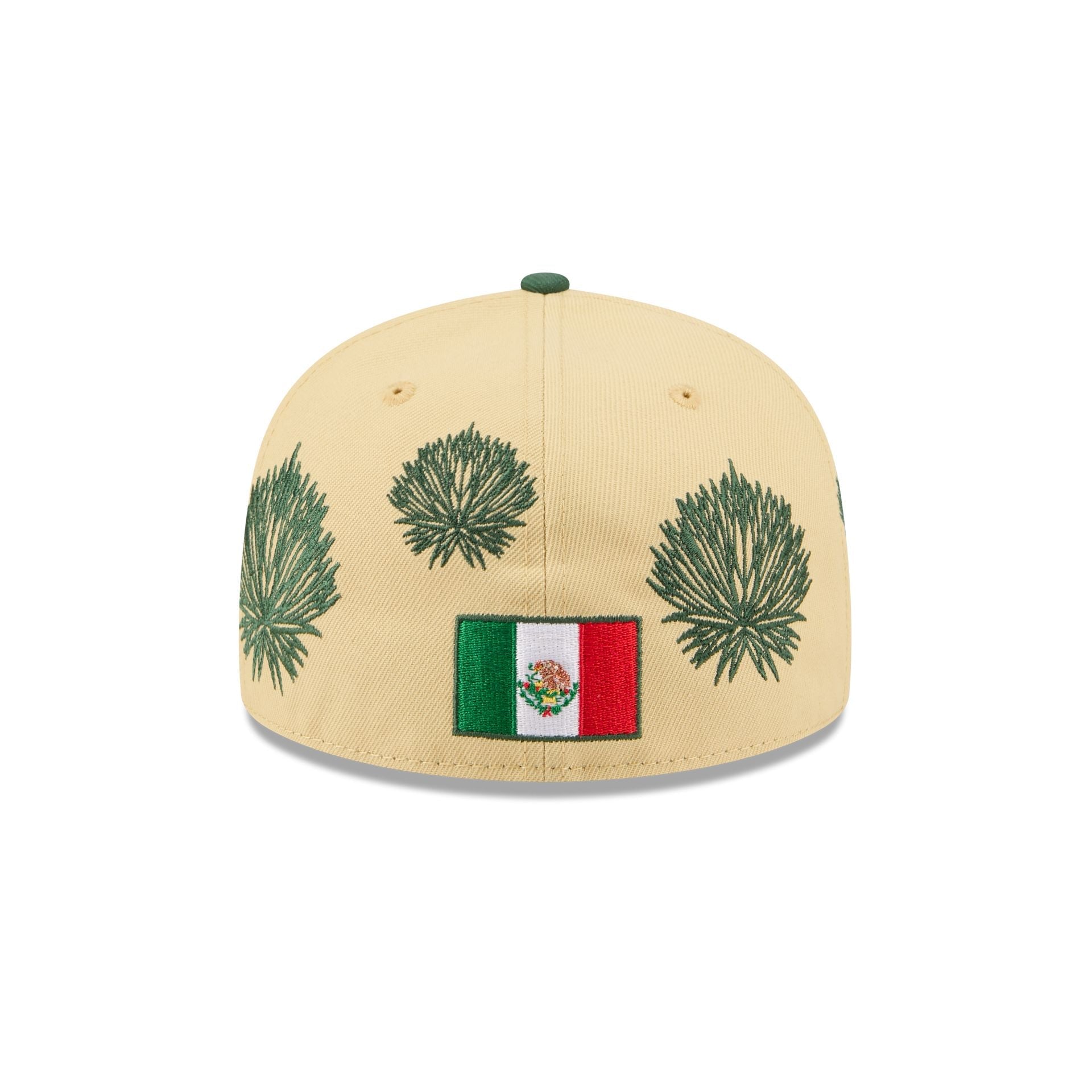 Houston Astros Agave 59FIFTY Fitted Hat