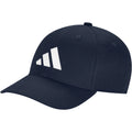 Tour Snapback