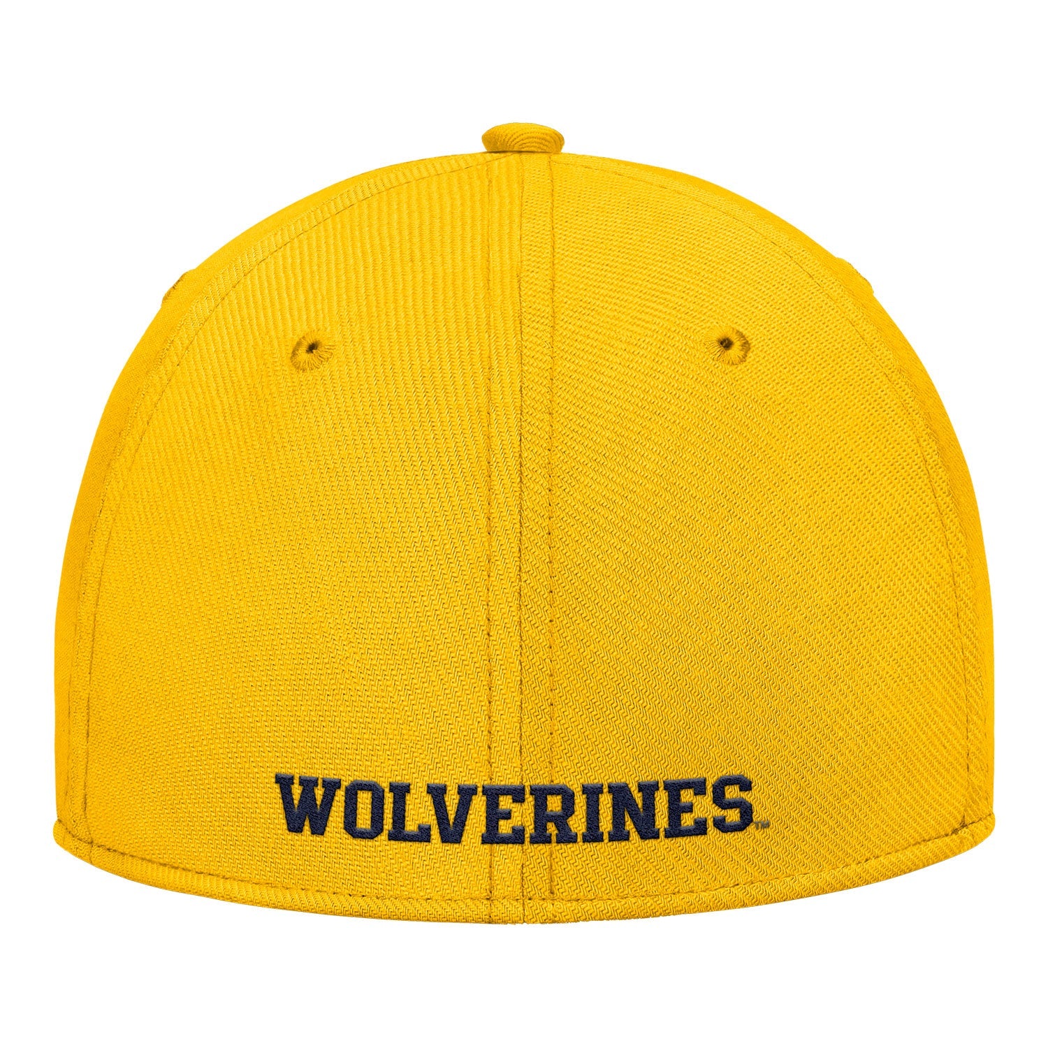 Michigan Wolverines Nike Jordan Yellow FlexFit Rise Adjustable Gameday Hat
